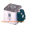CẦU CHÌ BUSSMANN 170M4418 2 cau chi bussmann 170M4418