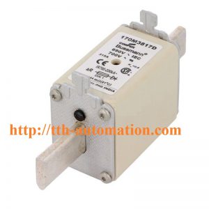CẦU CHÌ BUSSMANN 170M3917D