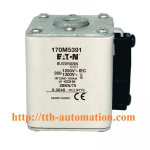 CẦU CHÌ BUSSMANN 170M5391