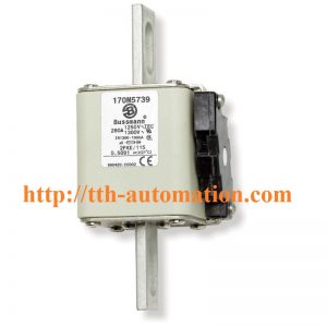 CẦU CHÌ BUSSMANN 170M5739