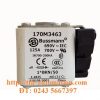 cau chi bussmann 170M3463