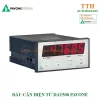 Đầu cân điện tử Pavone DAT500: So sánh Base, DAT 500/A, Profibus & cách chọn đúng 5 Đầu cân điện tử Pavone DAT500 mặt trước