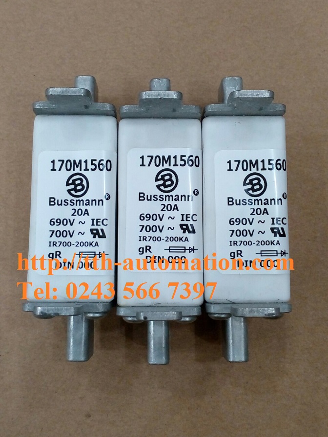 170M1560_1 170M1560 1