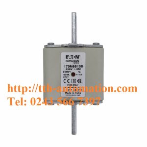 CẦU CHÌ BUSSMANN 170M6810D 1 170M6810D 1