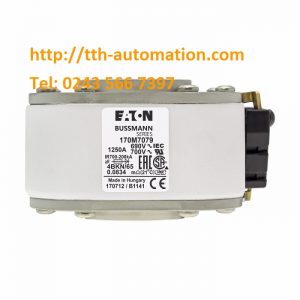 170M7079 1