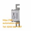 CẦU CHÌ BUSSMANN 170M1311 2 cau chi bussmann 170M1311