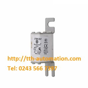 CẦU CHÌ BUSSMANN 170M1317