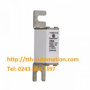 CẦU CHÌ BUSSMANN 170M1319