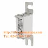 CẦU CHÌ BUSSMANN 170M1416 1 cau chi bussmann 170M1416