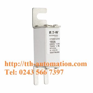 CẦU CHÌ BUSSMANN 170M1419