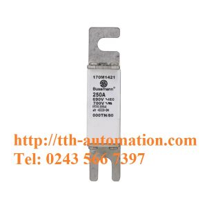 CẦU CHÌ BUSSMANN 170M1421