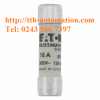 CẦU CHÌ BUSSMANN C10G16 2 cau chi bussmann C10G16