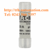 CẦU CHÌ BUSSMANN C10G20 3 cau chi bussmann C10G20