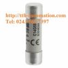 CẦU CHÌ BUSSMANN C14G50 3 cau chi bussmann C14G50