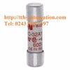 cau chi bussmann FWC 32A10F