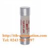 CẦU CHÌ BUSSMANN FWP-10A14F 2 cau chi bussmann FWP 10A14F