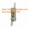 CẦU CHÌ BUSSMANN NSD32 2 cau chi bussmann NSD32