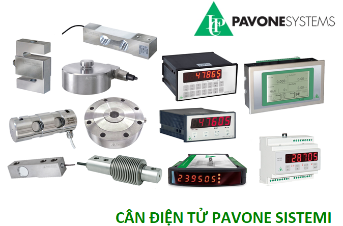 pavone banner